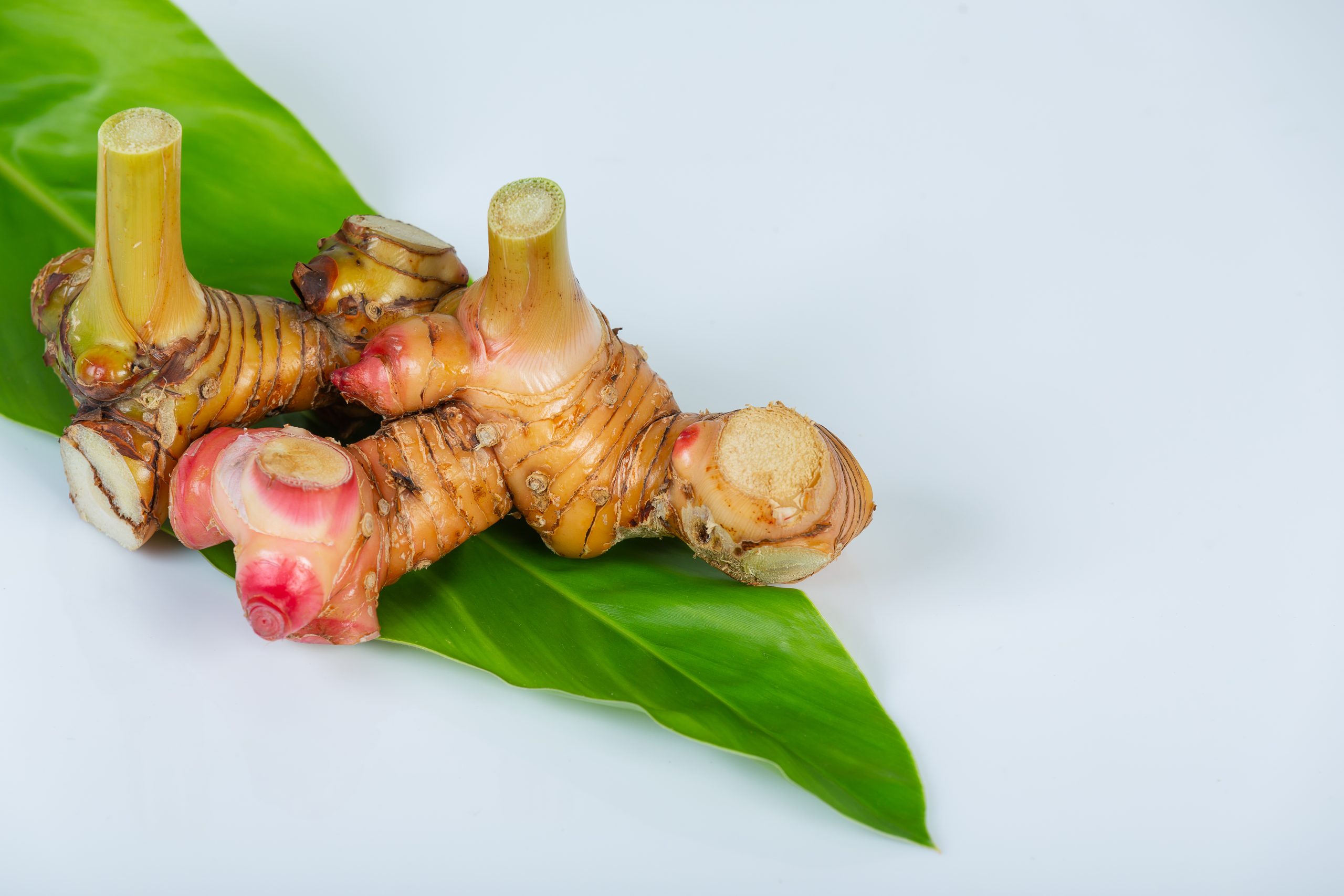 Indonesian Galangal (Lengkuas) for export – HS Code 0910