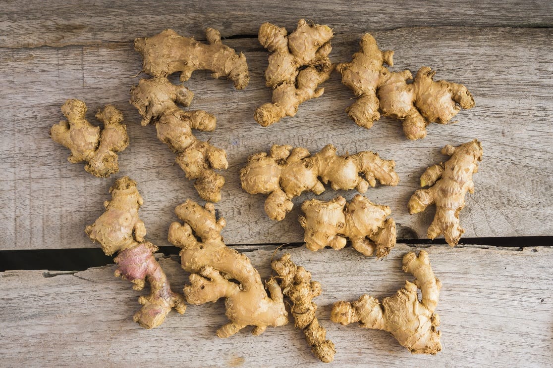 Small White Ginger Indonesia | Fresh Ginger Export HS Code 0910