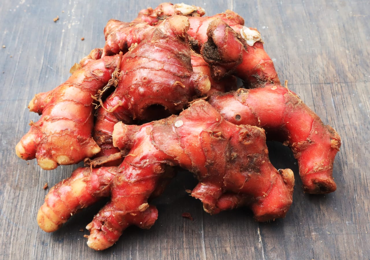 Red Ginger Indonesia | Fresh Red Ginger Export HS Code 0910