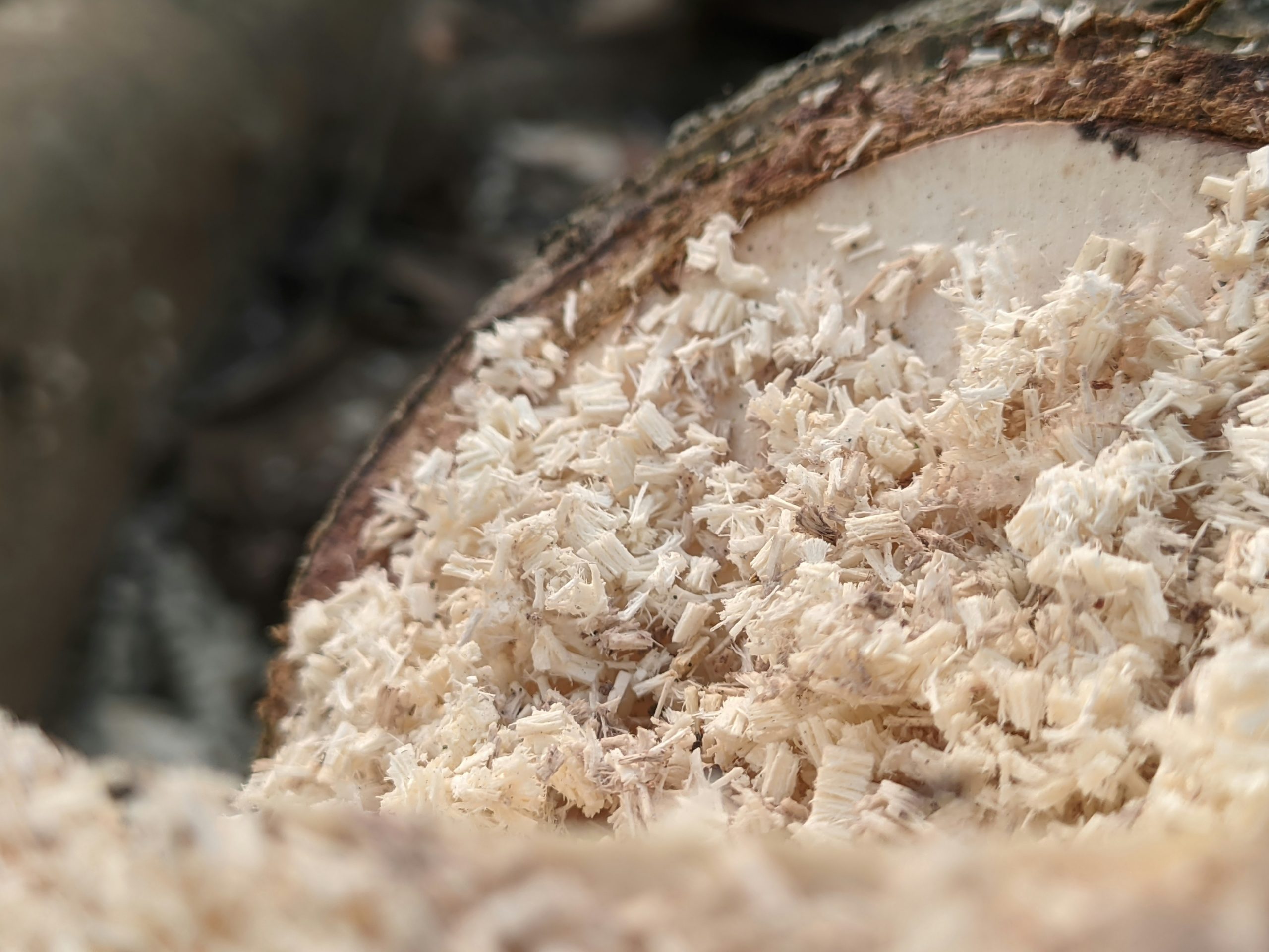 Indonesian coconut flour gluten free fine powder for export HS 1106