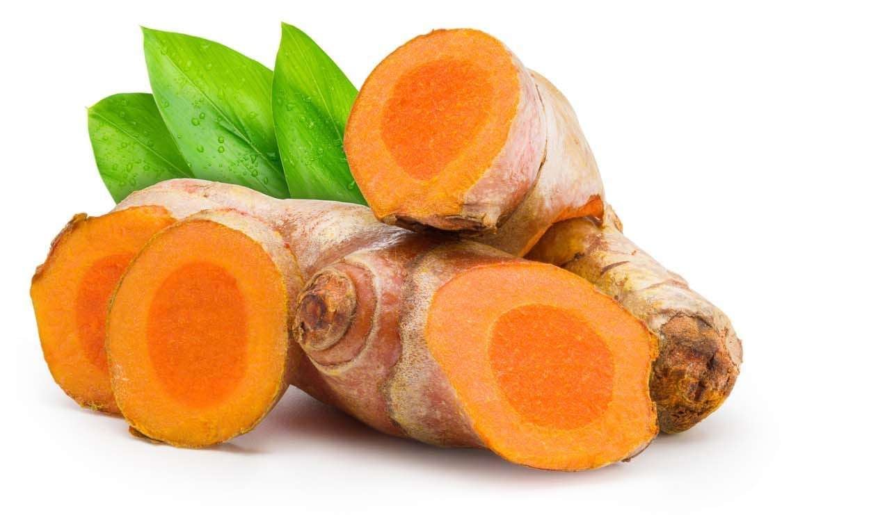 Indonesian Turmeric (Kunyit) for export – HS Code 0910