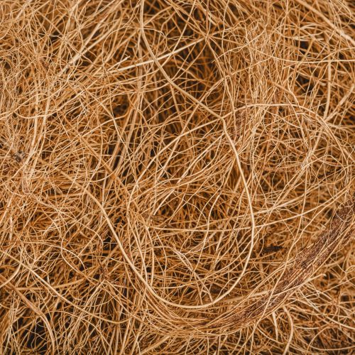 COCONUT FIBER