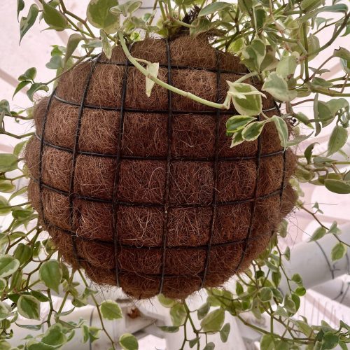 Coconut Fiber Handicraft Exporter from Indonesia