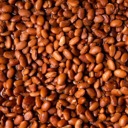 Fermented Cocoa Beans