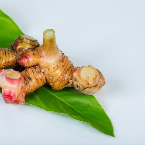 Indonesian Galangal (Lengkuas) for export – HS Code 0910