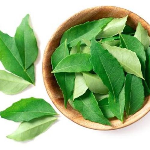 Fresh Curry Leaves Exporter from Indonesia
