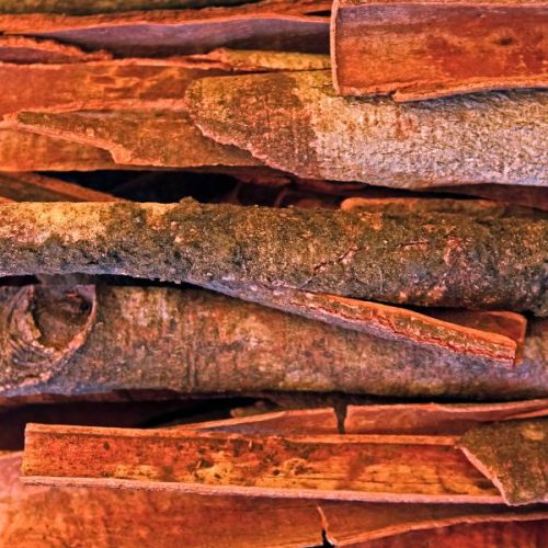Fresh Cinnamon Cassia Exporter from Indonesia