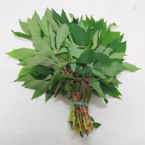 Fresh Cassava Leaves Exporter from Indonesia