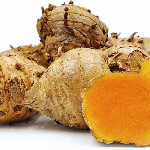 Curcuma Exporter from Indonesia