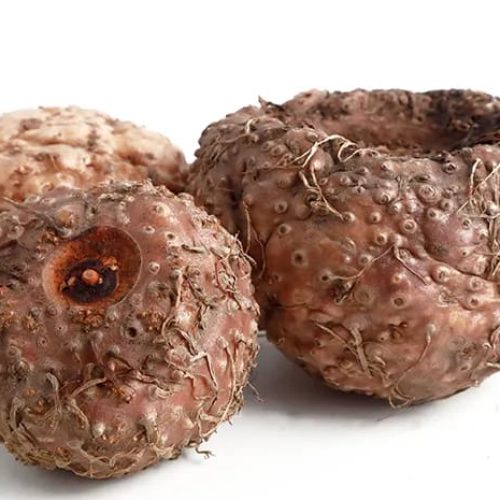 Porang Exporter from Indonesia