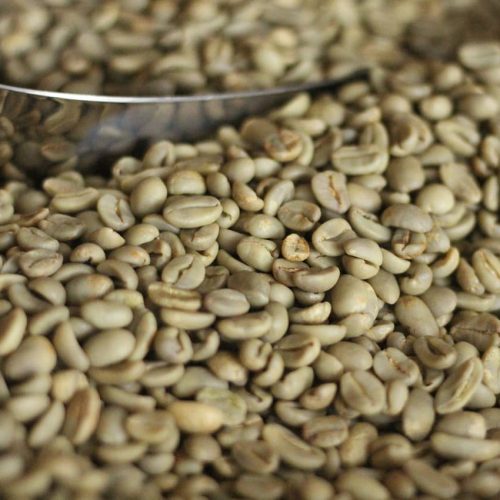 Arabica Coffee Beans Exporter from Indonesia