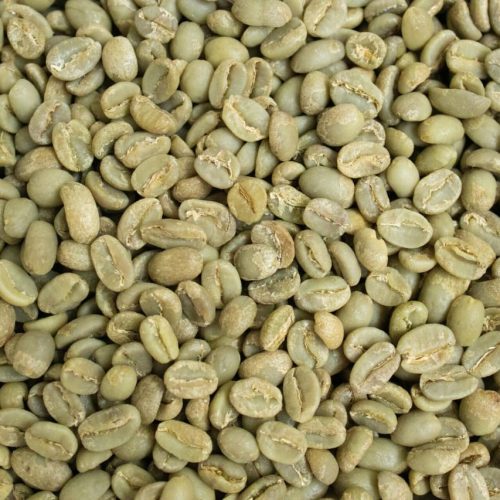 Robusta Coffee Beans Exporter from Indonesia