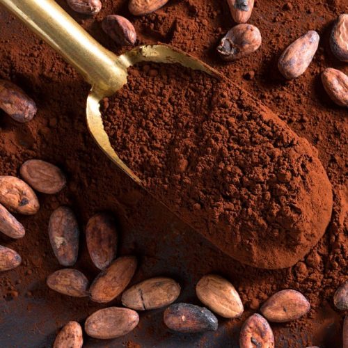Indonesian Cocoa Powder Exporter
