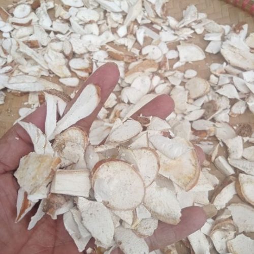 Dried Cassava Exporter from Indonesia