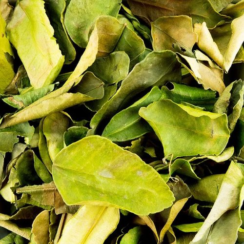 Dried Kaffir Lime Leaves Exporter from Indonesia