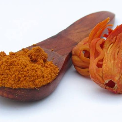 Mace Powder Exporter from Indonesia