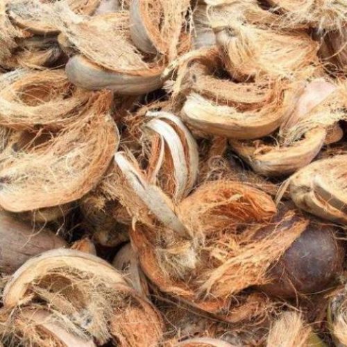 Coconut Fiber Exporter from Indonesia