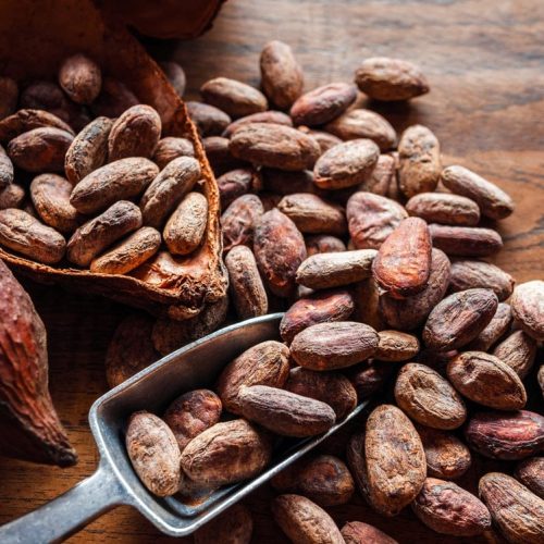 Indonesian Cocoa (Kakao) for export – HS Code 1801