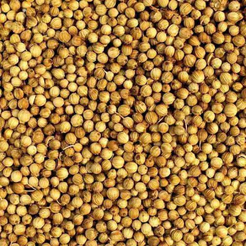 Coriander Seeds Exporter from Indonesia
